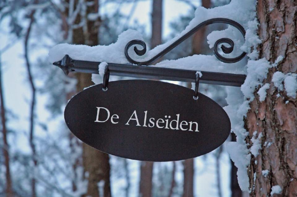 Een besneeuwd landschap met een naambordje van De Alseiden