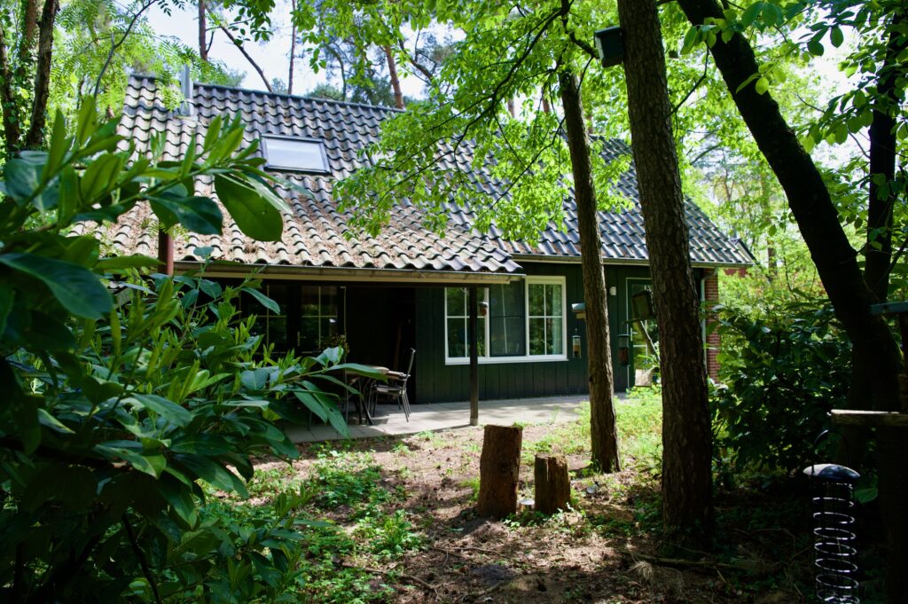 Doorkijkje tussen de bomen naar vakantiehuis De Alseïden. Een gezellig terras met houtkachel.